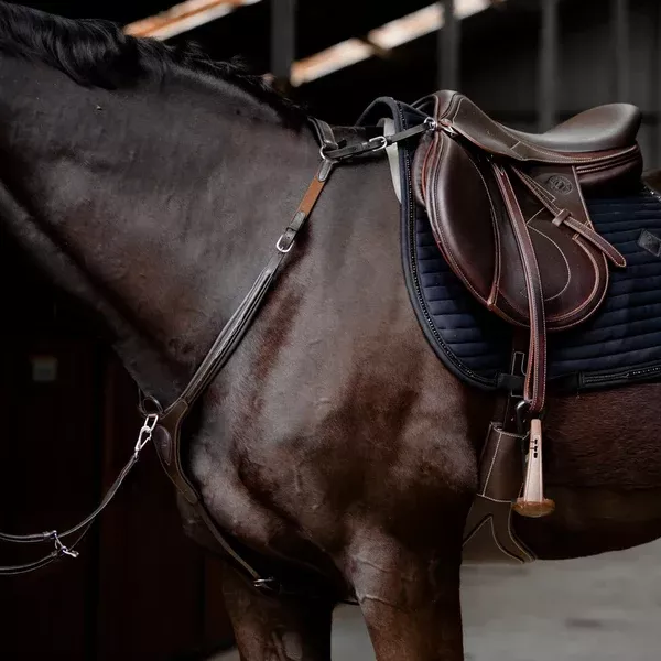 Lumiere Victory 3 PointBreastplate.