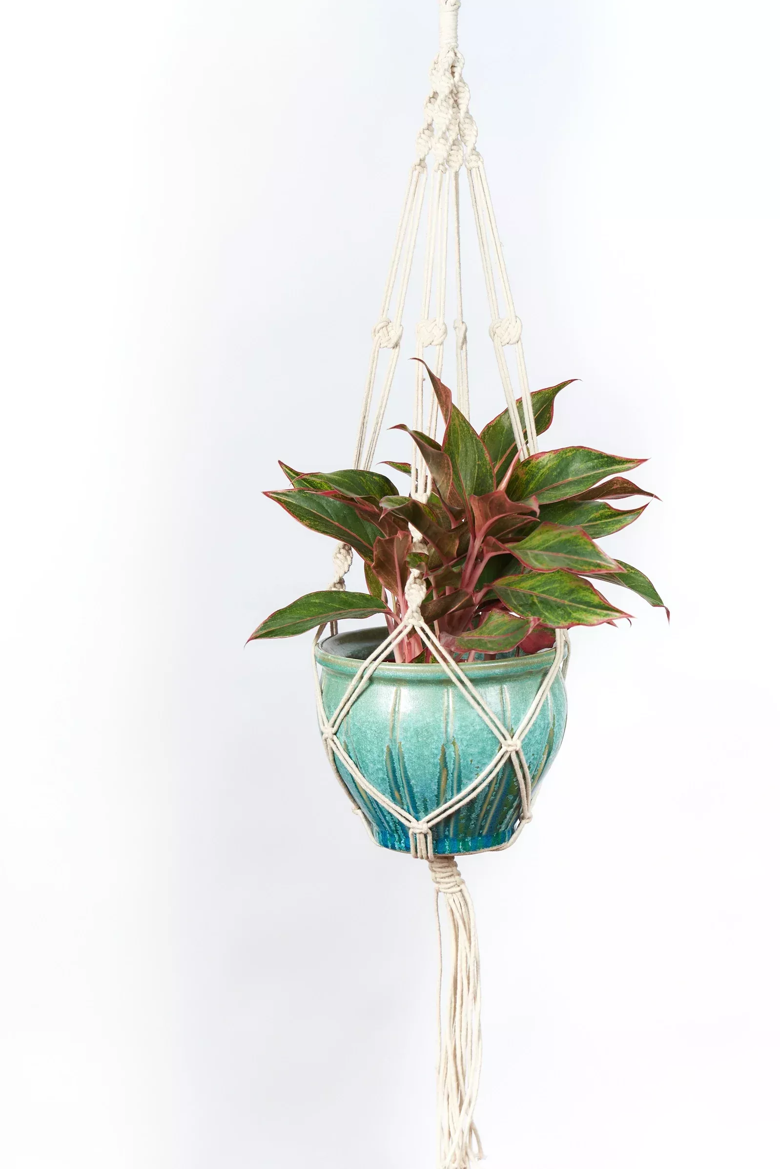 Primitive Planters 42" Cotton Woven Plant Hanger