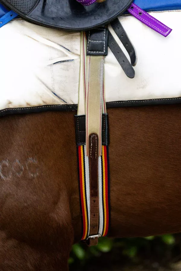 Racing striped surcingle