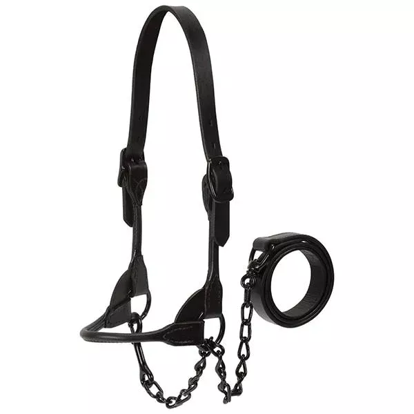 Weaver Black Magic Show Halter